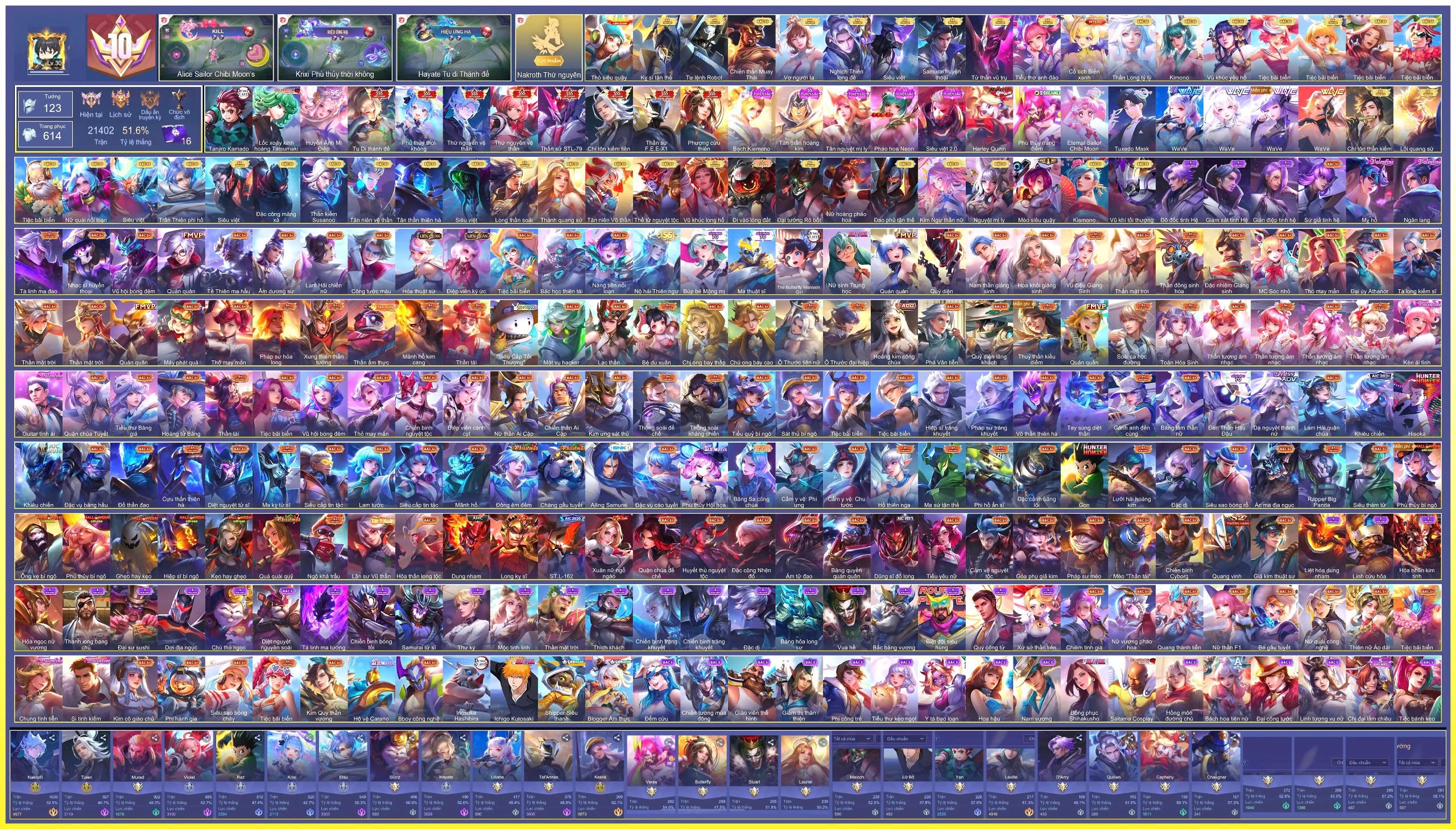Account Preview