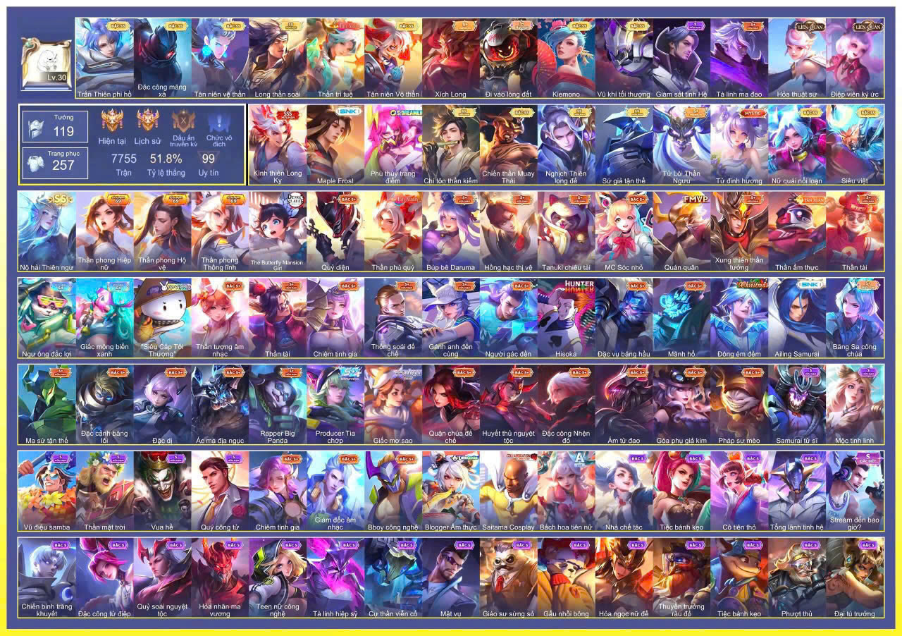 Account Preview