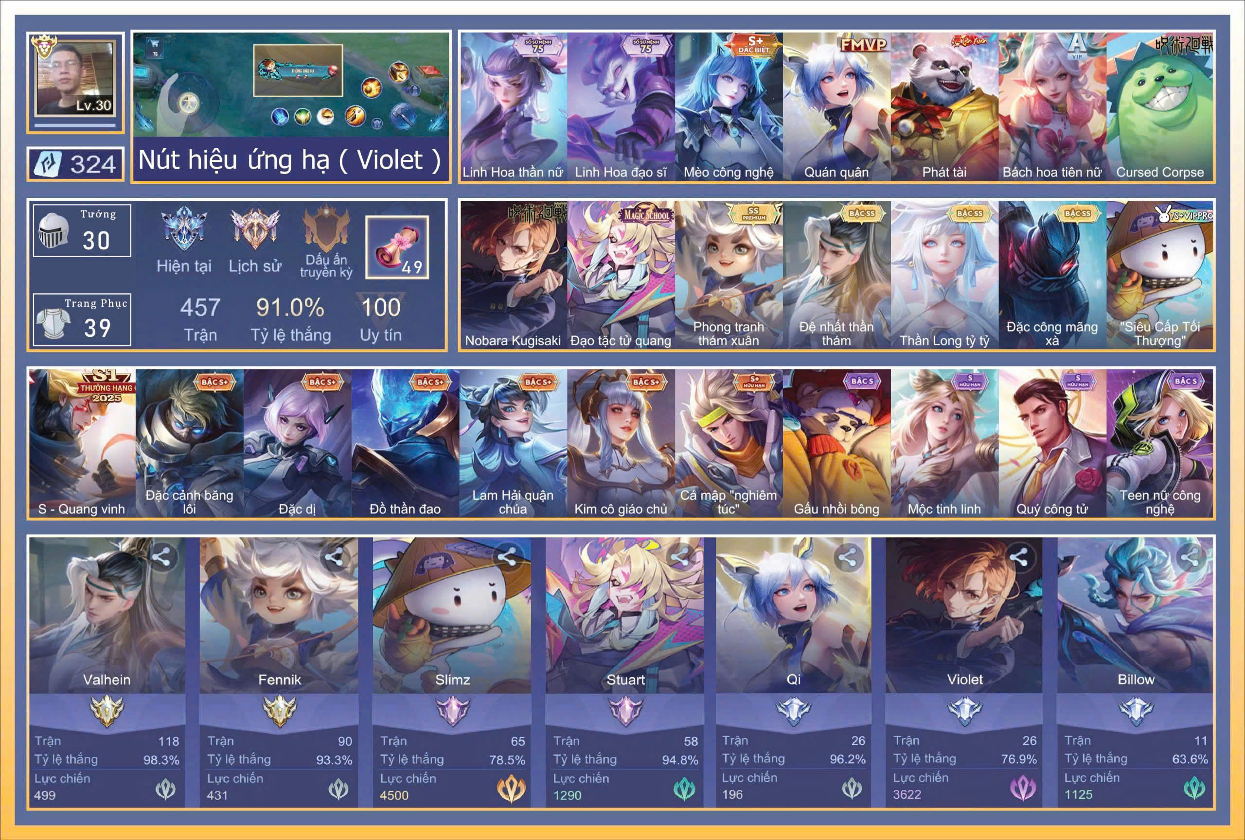 Account Preview