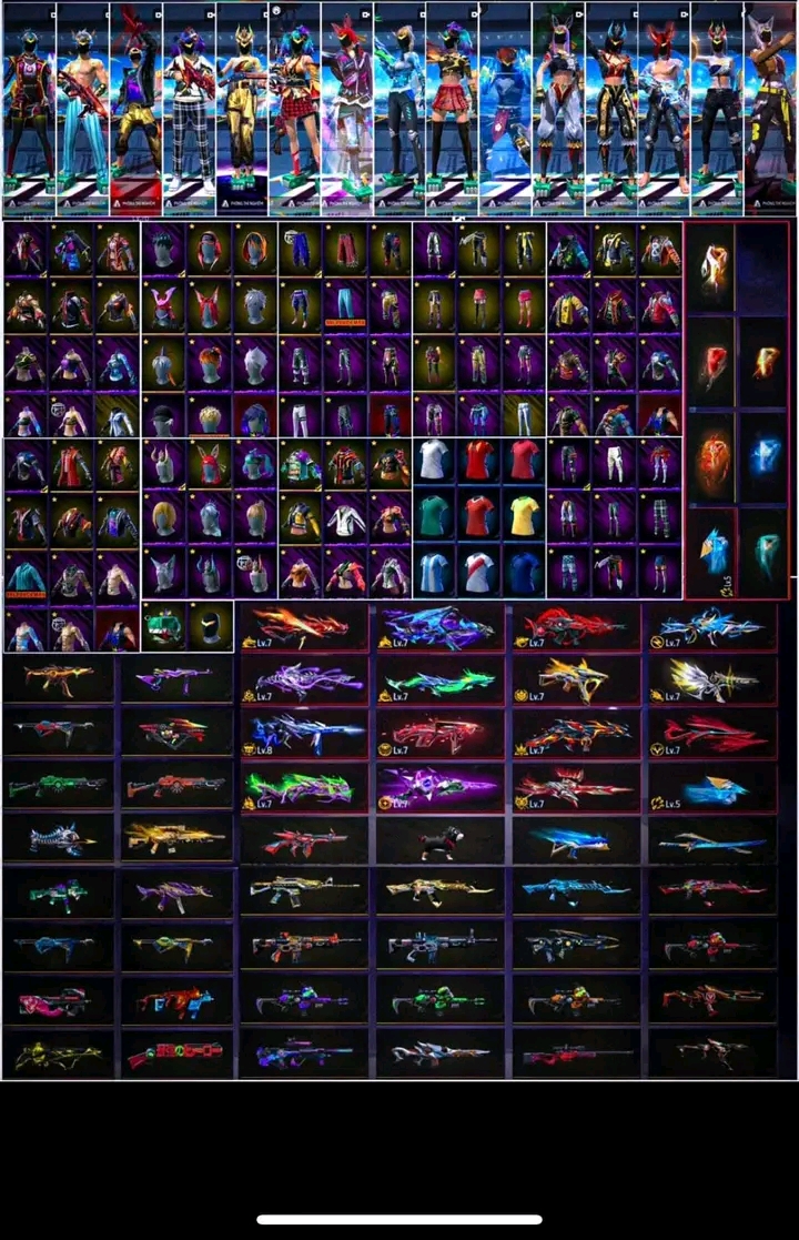 Account Preview