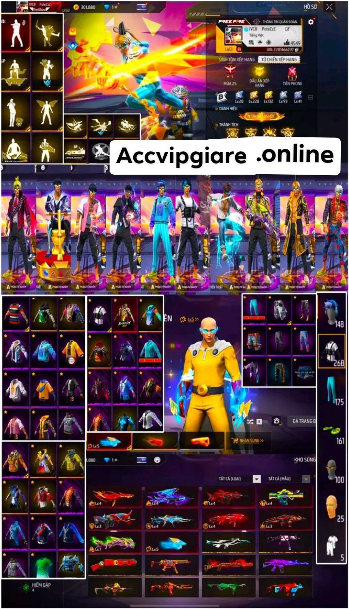 Account Preview